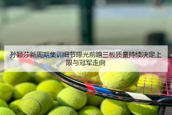 孙颖莎新周期集训细节曝光前瞻三板质量持续决定上限与冠军走向