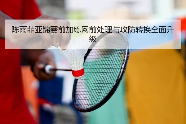 陈雨菲亚锦赛前加练网前处理与攻防转换全面升级